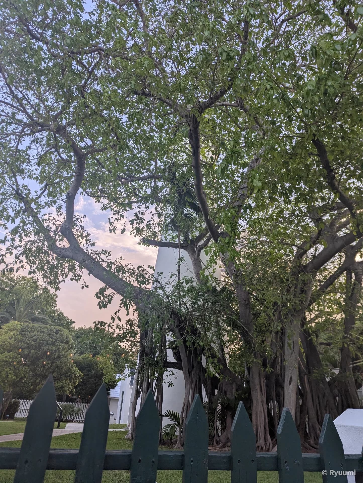 Key West Sightseeing: Historic Streets Feeling the Tropical Breeze Main