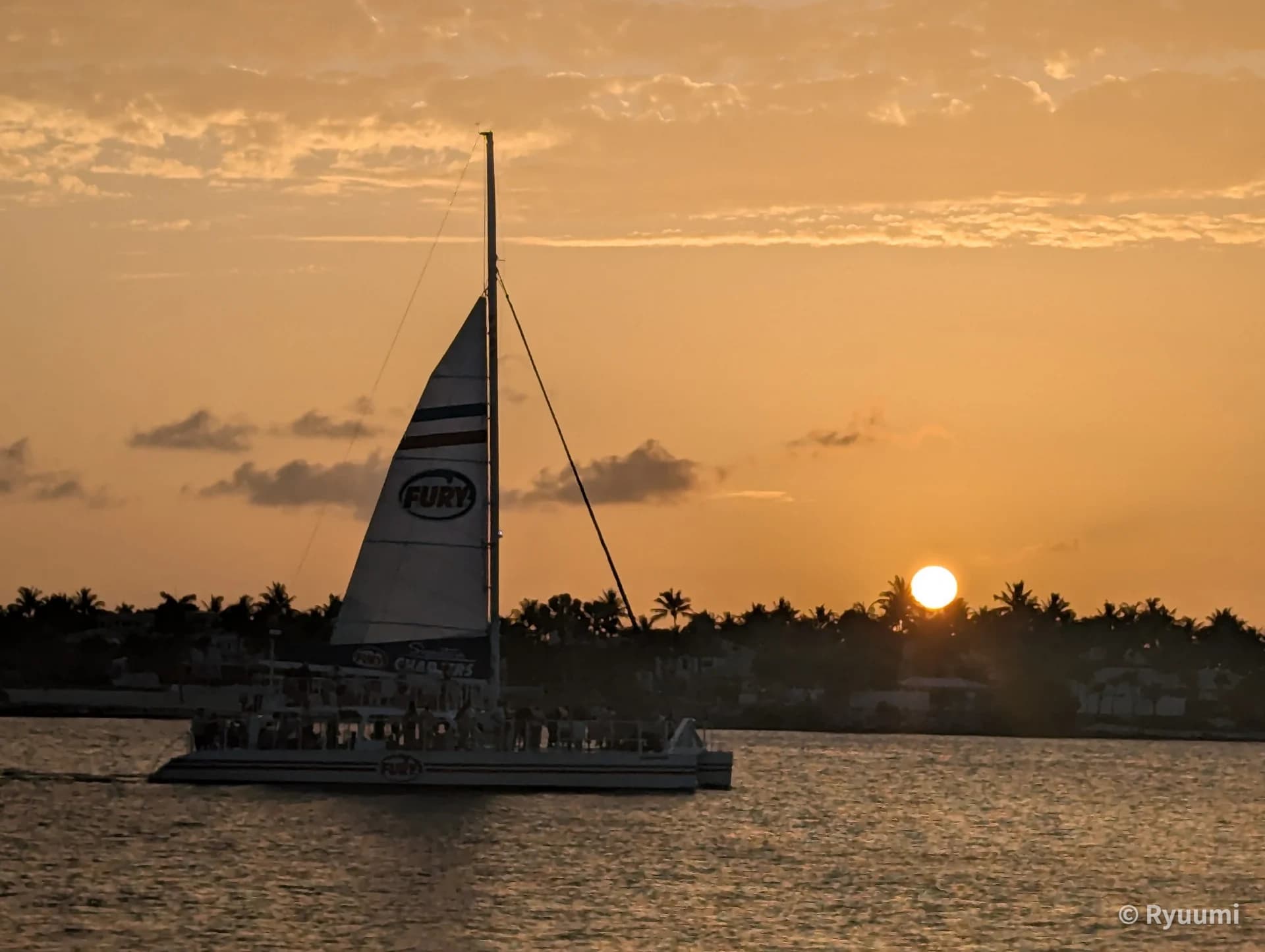 Key West Dusk and Exquisite Seafood Dinner Main