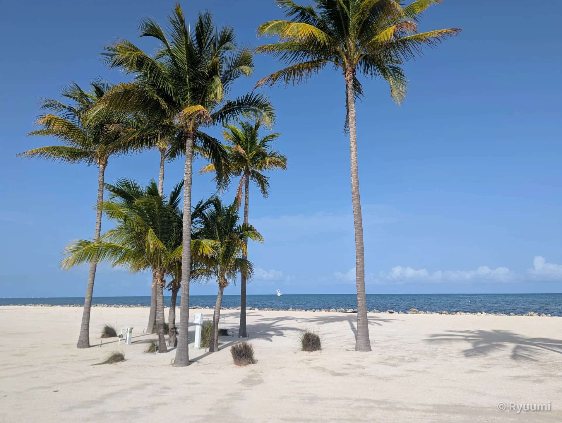 Accommodation Review 2: Islander Resort (Islamorada) Sub 4