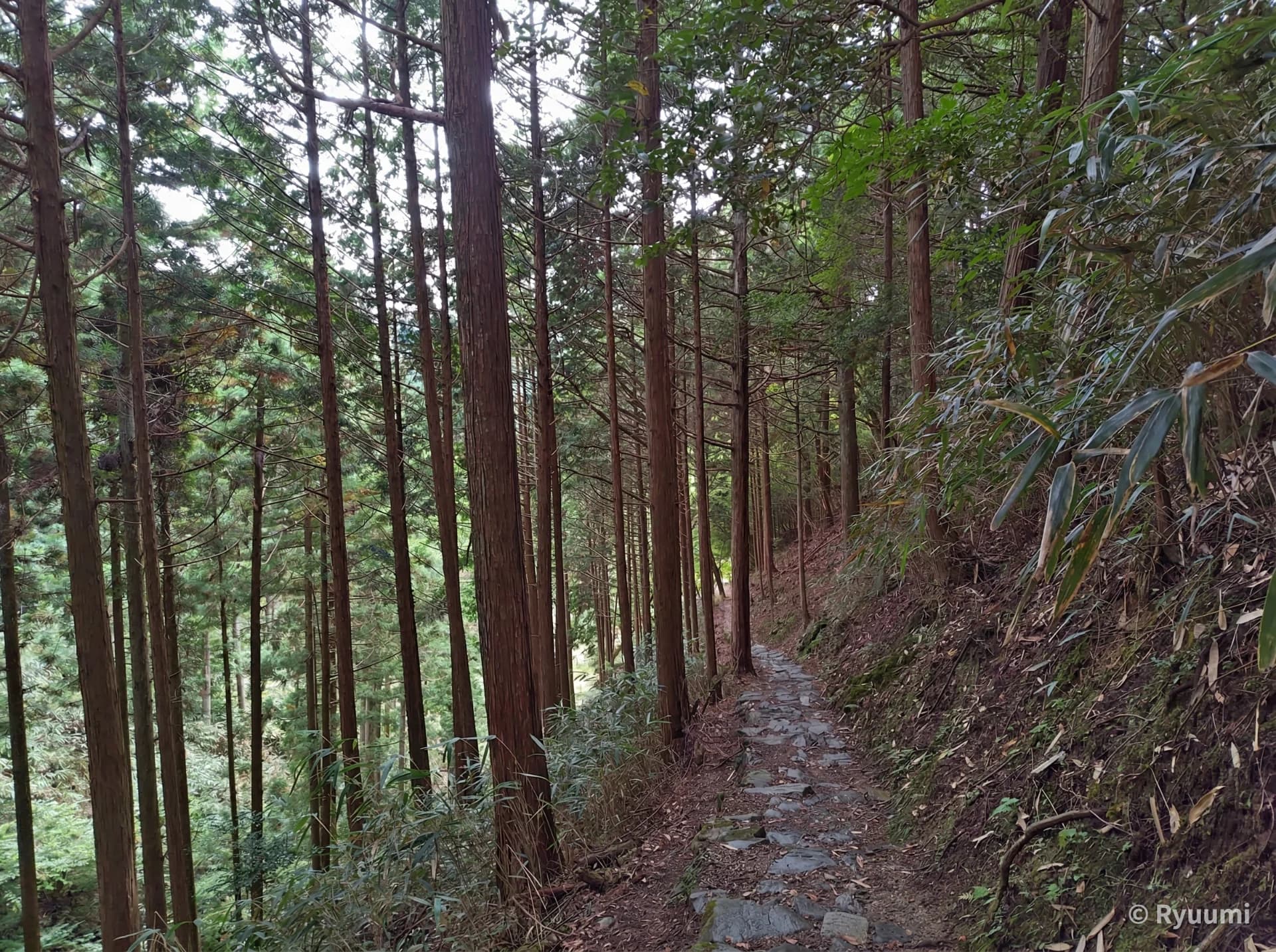 Into the Abyss of Shugendo. The Innermost Sacred Land 'Kinpu Shrine' and the Yoshitsune Hiding Tower Where History Approaches Sub 5